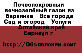 Почвопокровный, вечнозелёный газон из барвинка - Все города Сад и огород » Услуги   . Алтайский край,Барнаул г.